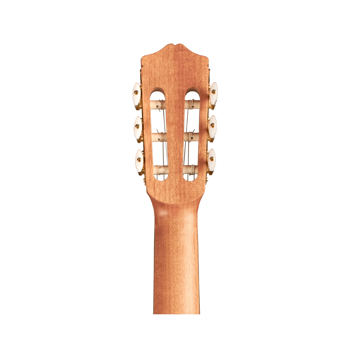 Cordoba Protege C1M 1/2 size Acoustic Guitars Cordoba Art of Guitar