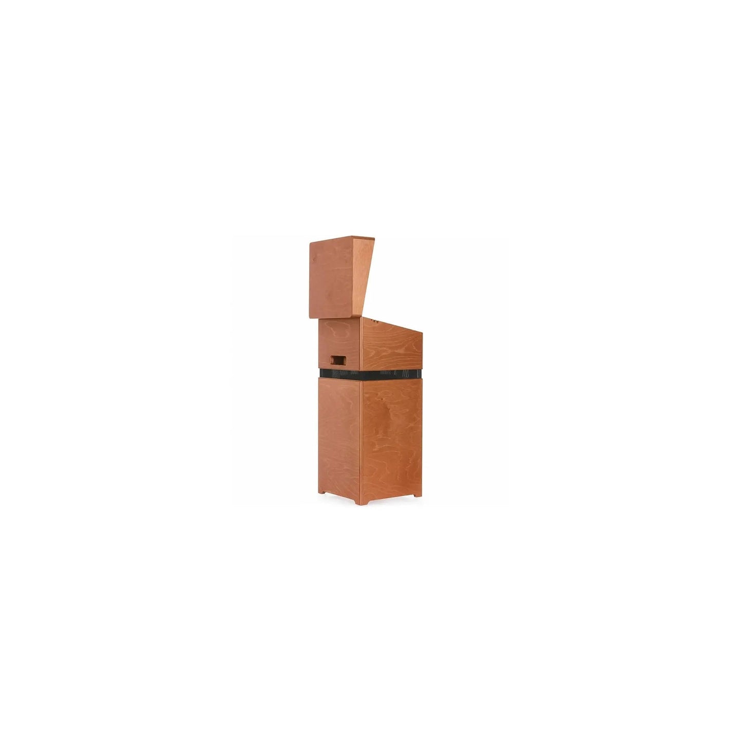 Acus ALL AROUND 8 - Wood Acoustic Amplifiers Acus Art of Guitar