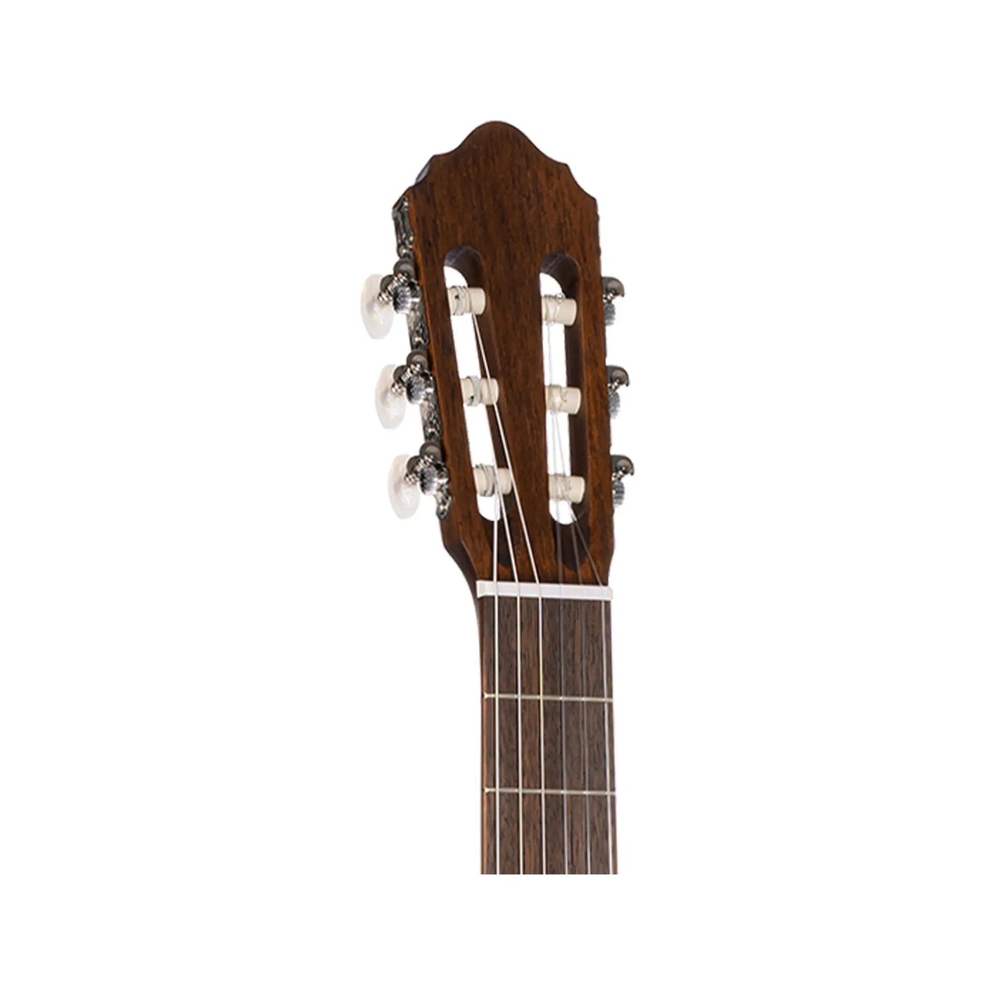 CORT AC100-SG Classical Guitars CORT Art of Guitar