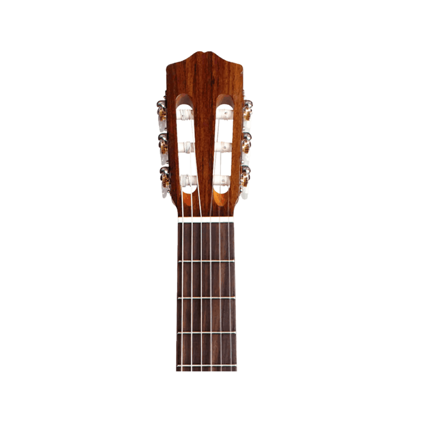 Cordoba C3M Acoustic Guitars Cordoba Art of Guitar
