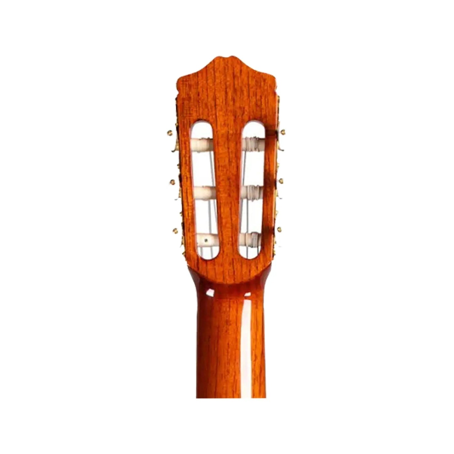 Cordoba C5 Lefty Classical Guitars Cordoba Art of Guitar