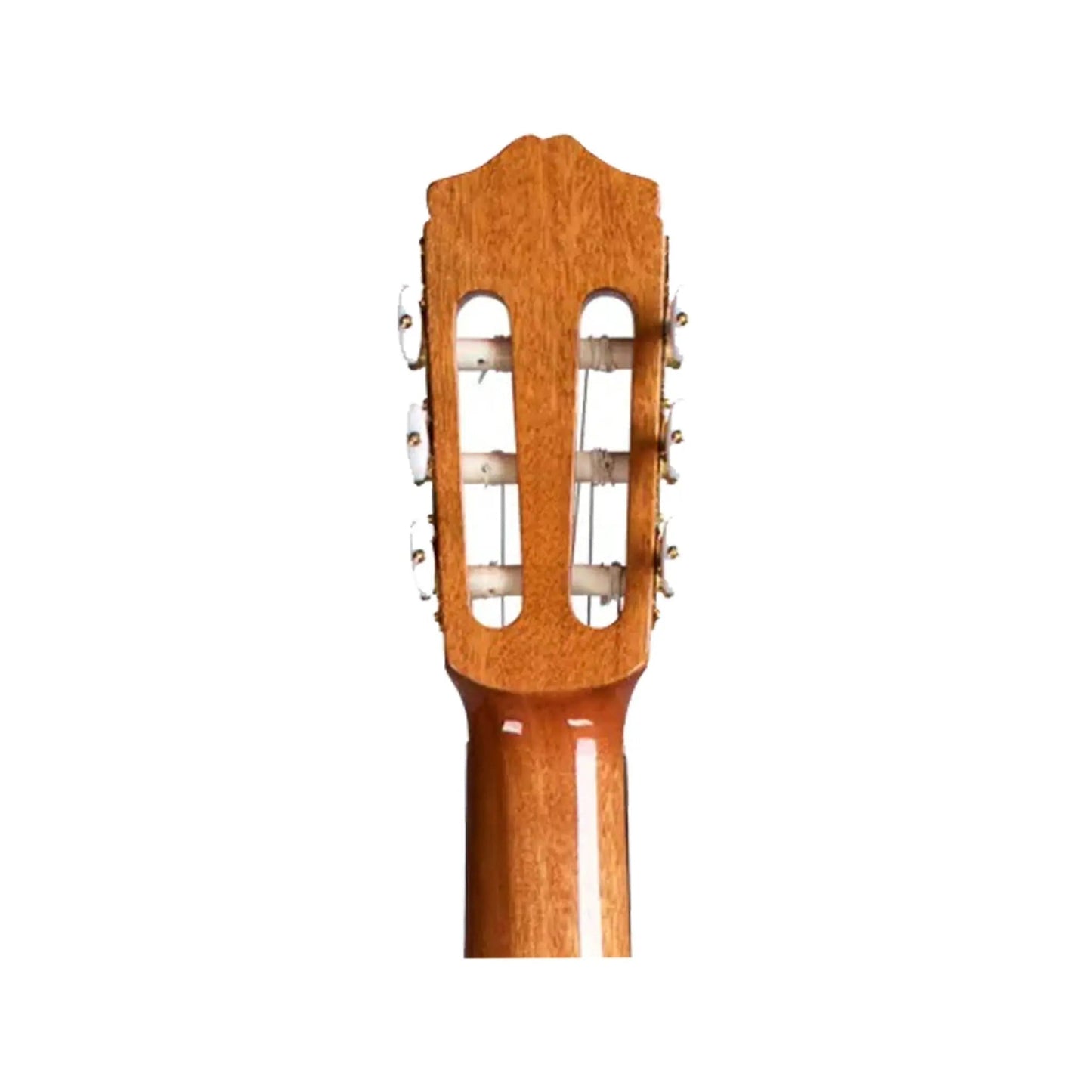 Cordoba C5 SP Acoustic Guitars Cordoba Art of Guitar
