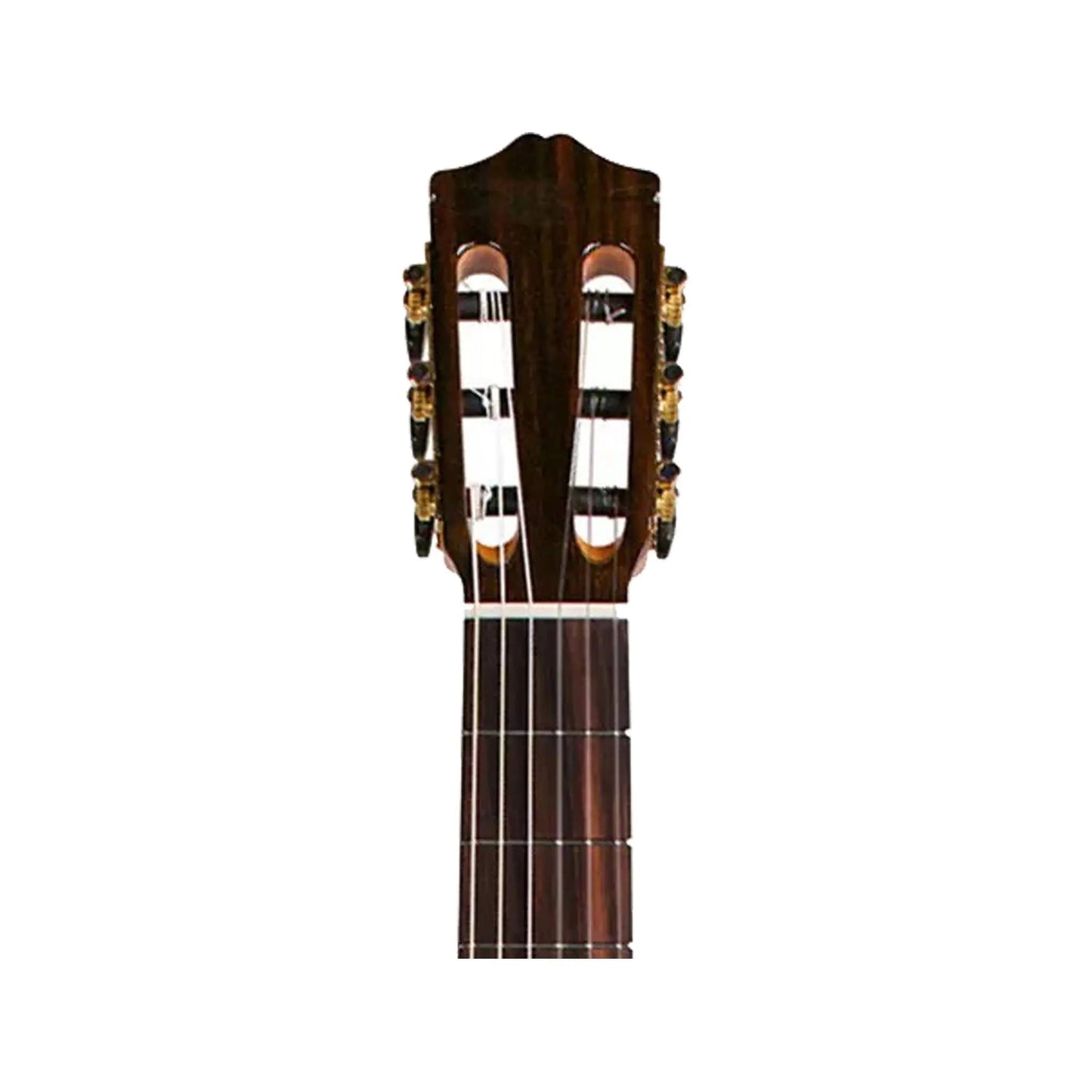 Cordoba C7 SP Art of Guitar Art of Guitar