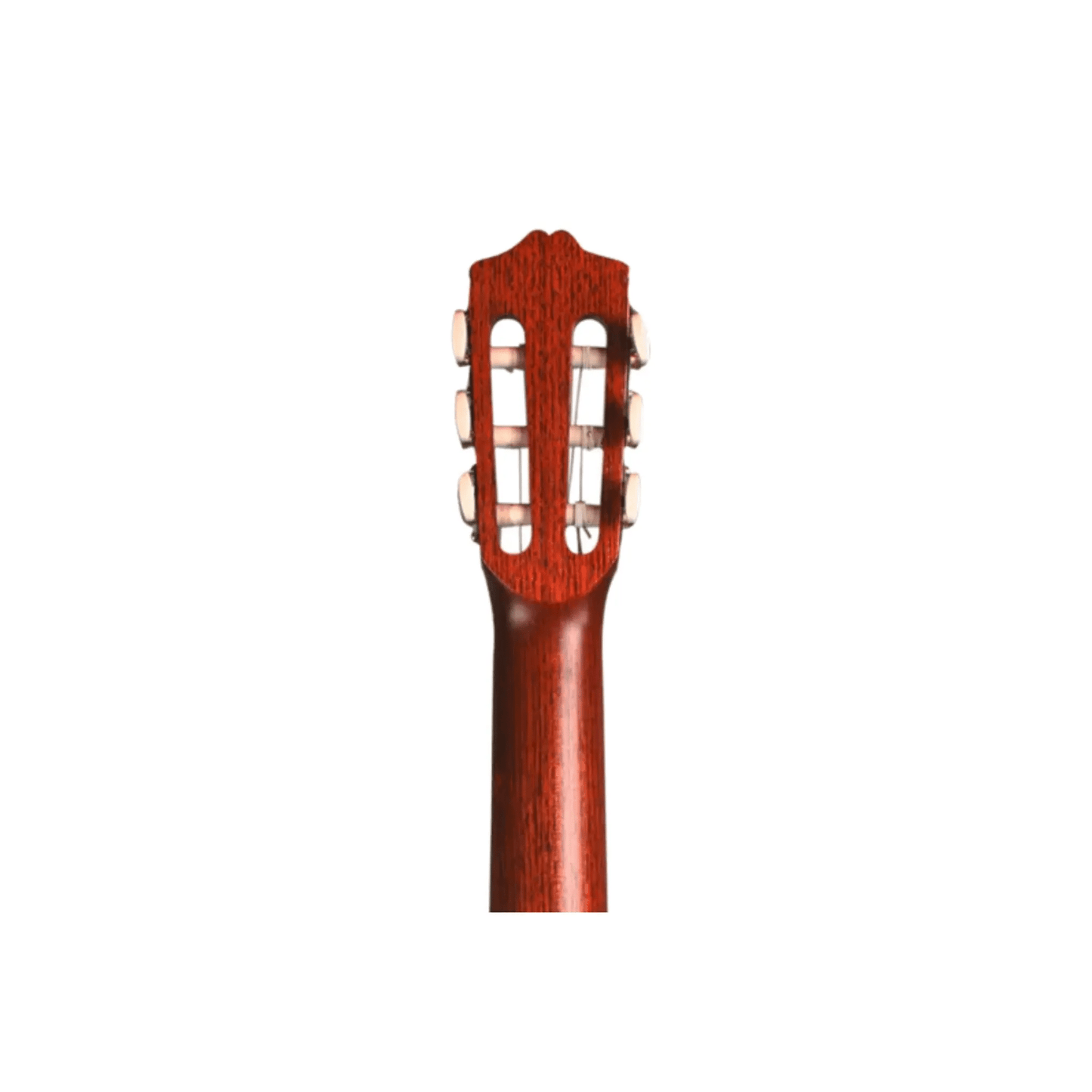 Cordoba CP100 Guitar Pack Acoustic Guitars Cordoba Art of Guitar