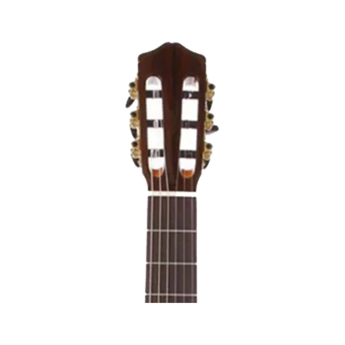 Cordoba F7 Classical Guitars Cordoba Art of Guitar