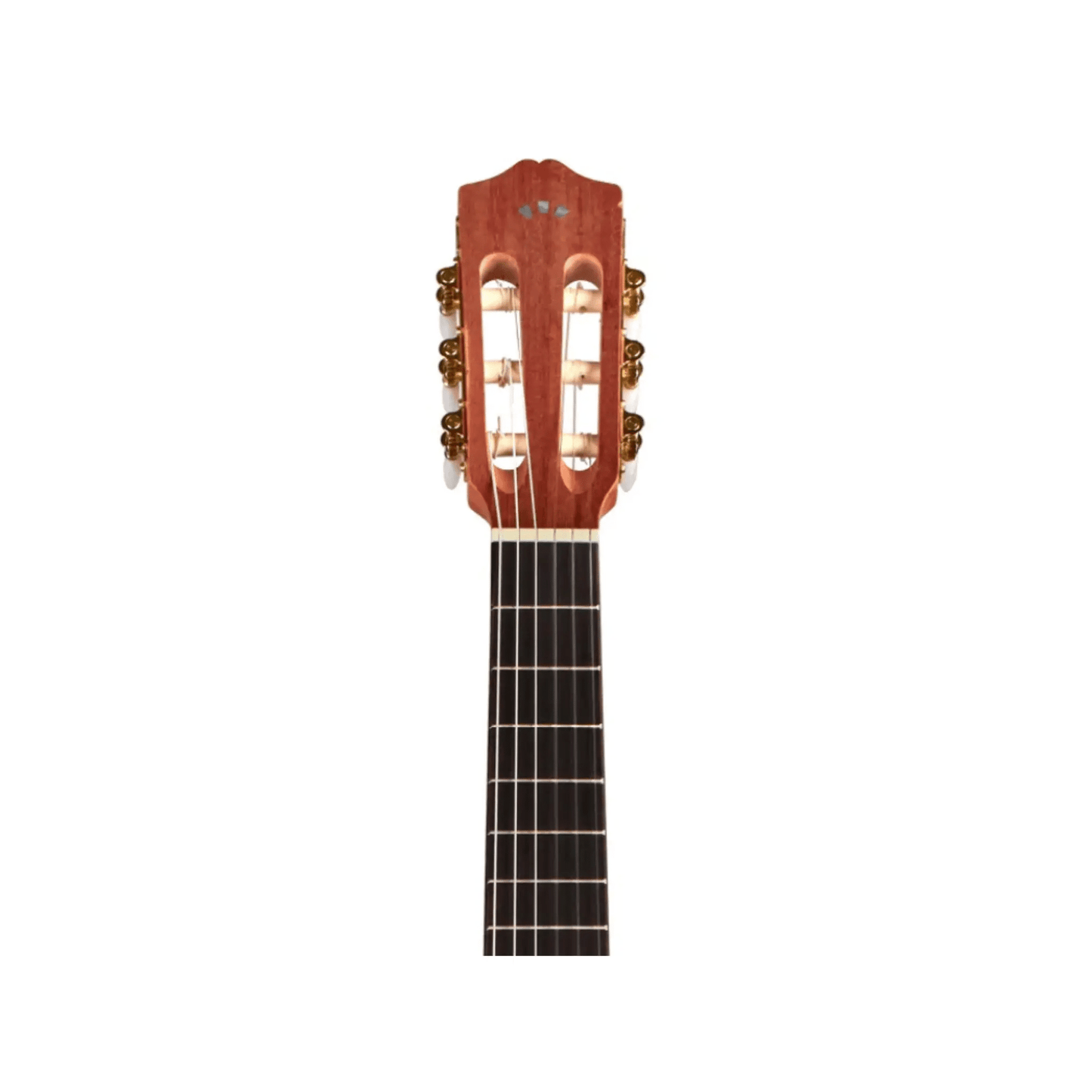 Cordoba Protege C1M Classical Guitars Cordoba Art of Guitar