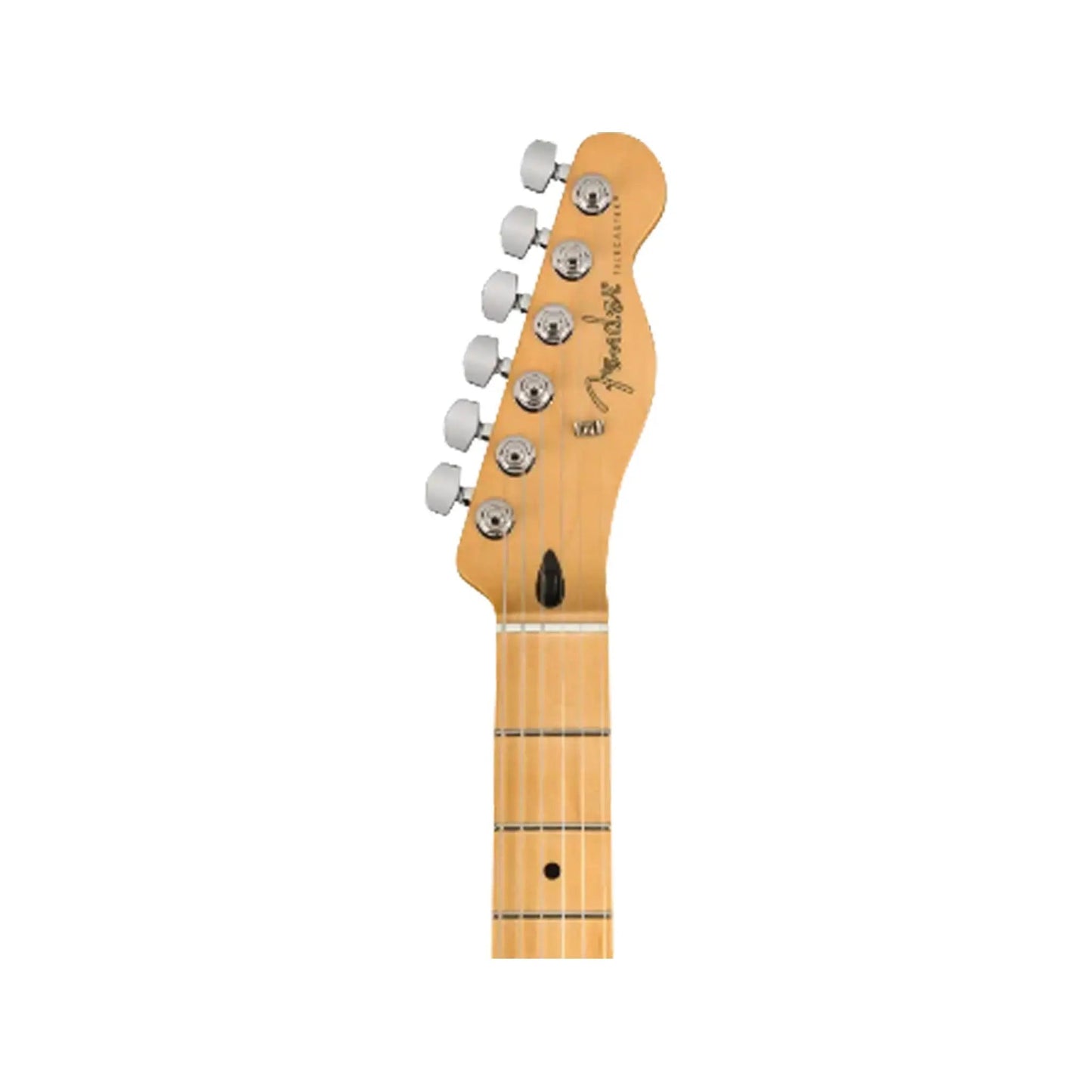 Fender Player Series Telecaster MN PWT Electric Guitars Fender Art of Guitar