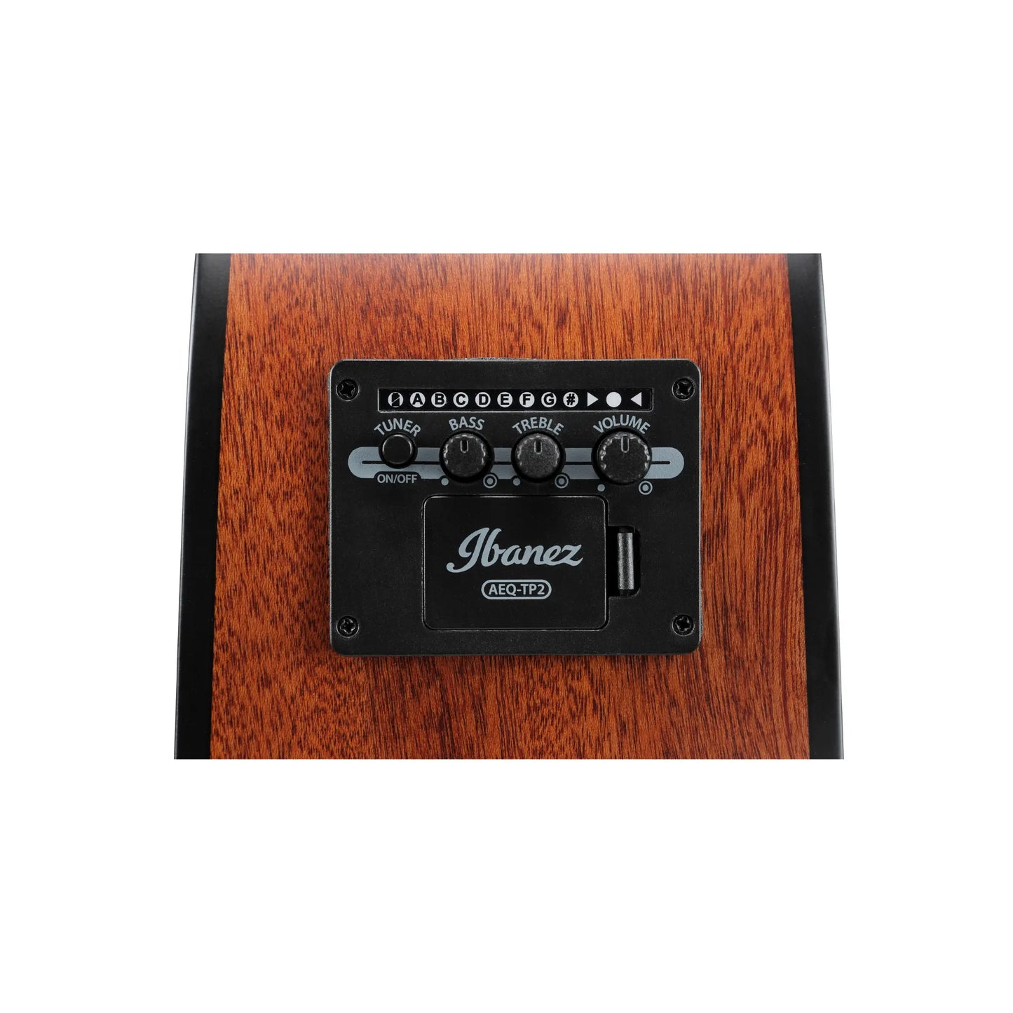 Ibanez AAD50CE-LBS Art of Guitar Art of Guitar