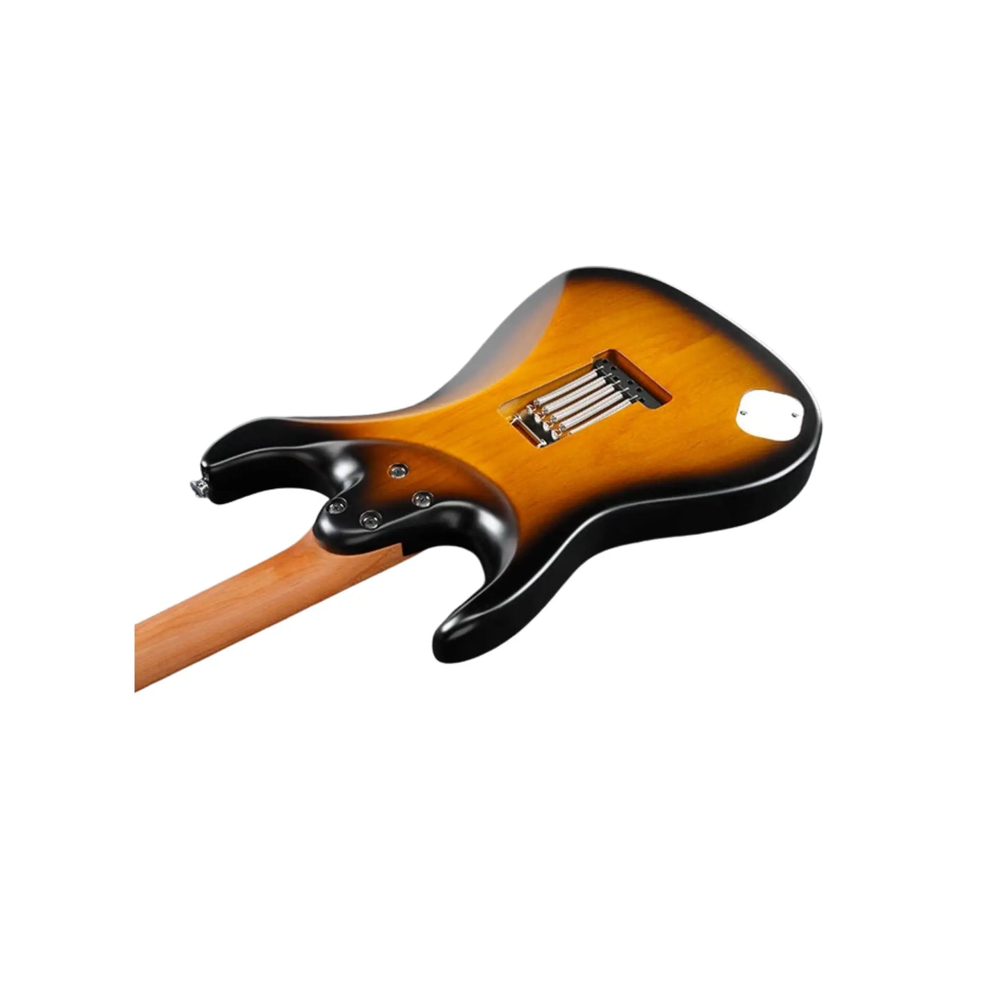 Ibanez ATZ100-SBT Art of Guitar Art of Guitar