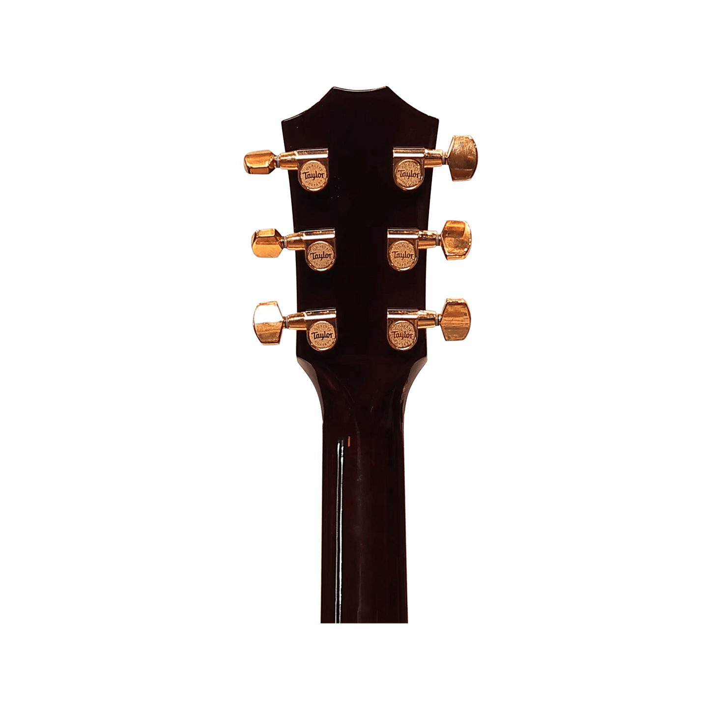Taylor T5Z Custom Koa electro-acoustic Taylor Art of Guitar