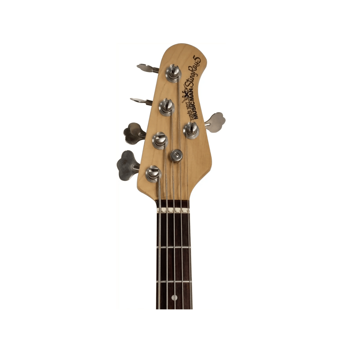 Music Man - Stingray 5 string bass MUSIC MAN