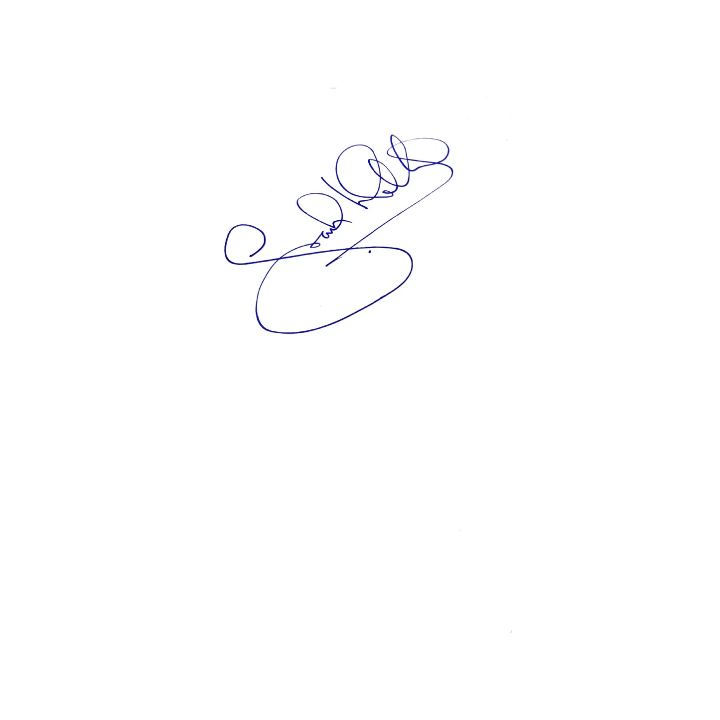 "The Stones - The Acclaimed Biography" by Philip Norman - Book Art of Guitar