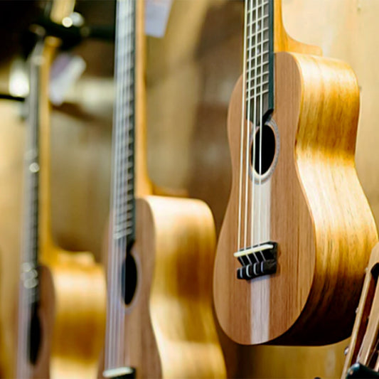 A NOTE ON THE ENVIRONMENT Art of Guitar