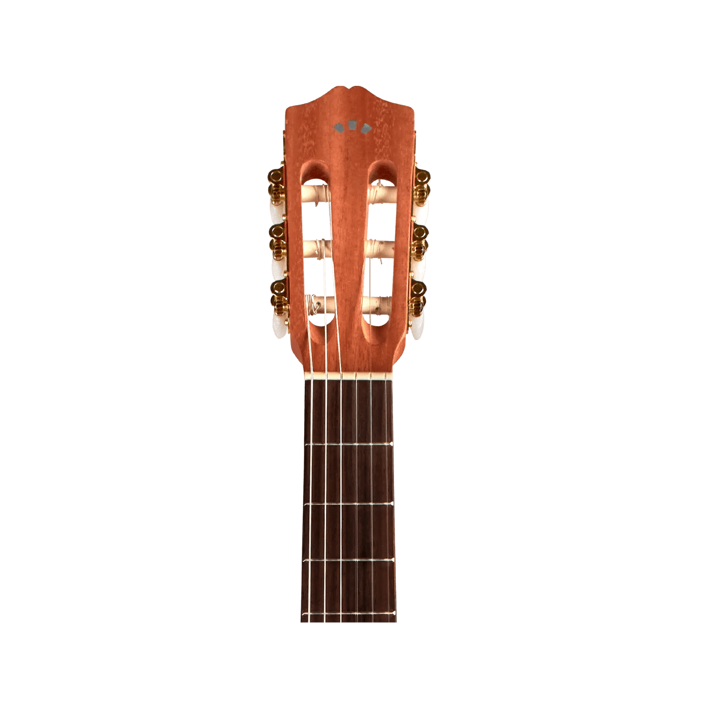 Cordoba Protege C1M 3/4 size Acoustic Guitars Cordoba Art of Guitar