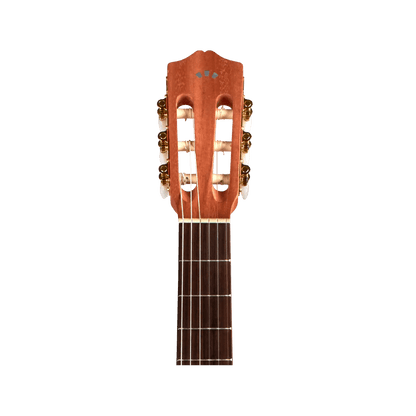 Cordoba Protege C1M 3/4 size Acoustic Guitars Cordoba Art of Guitar