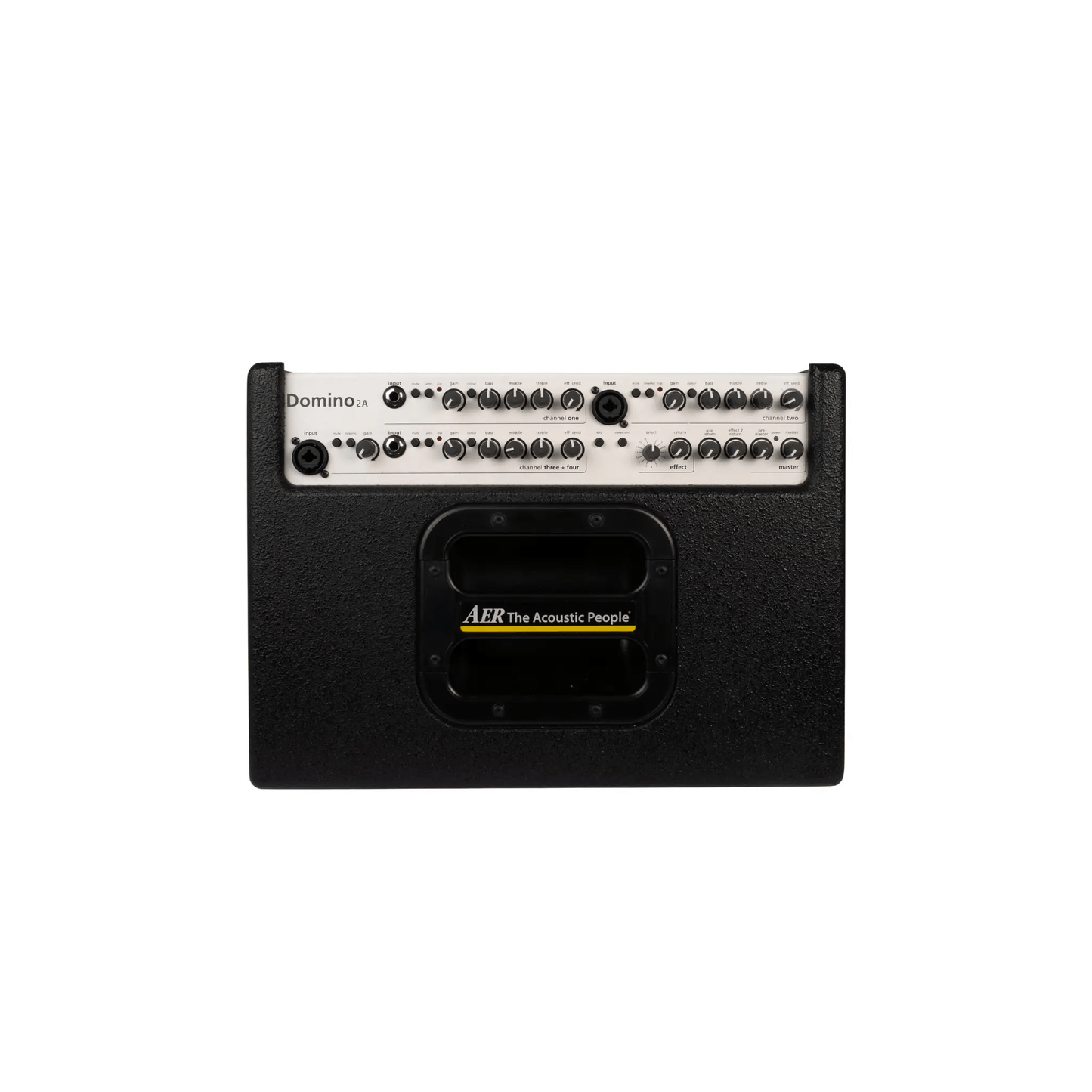 AER Domino 2 A Acoustic Amplifier Acoustic Amplifiers AER Art of Guitar