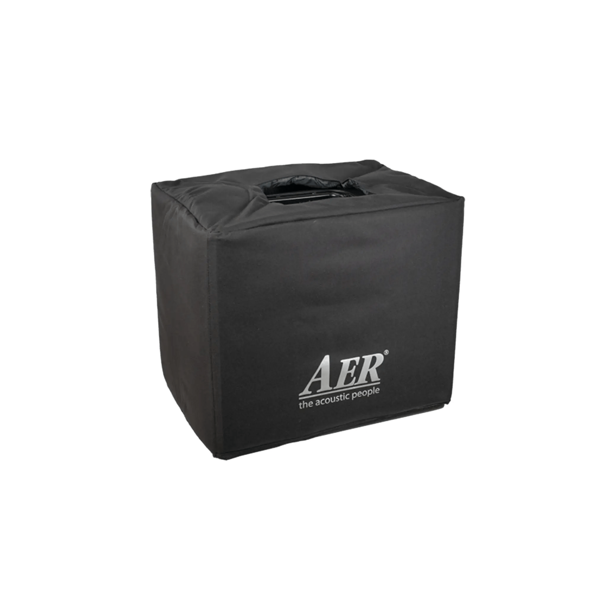 AER Domino 2 A Acoustic Amplifier Acoustic Amplifiers AER Art of Guitar