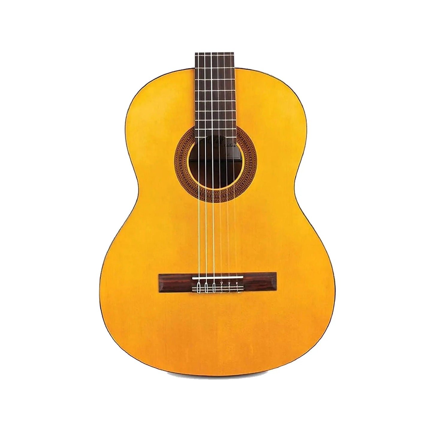 Protege by Cordoba C1 W/B Classical Guitars Cordoba Art of Guitar