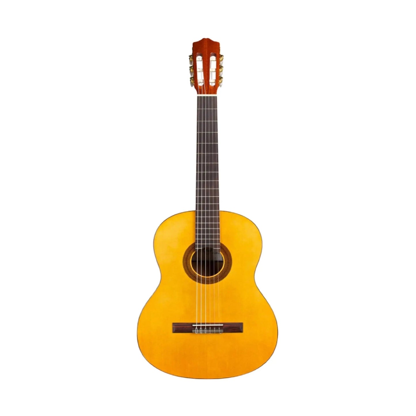 Protege by Cordoba C1 W/B Classical Guitars Cordoba Art of Guitar