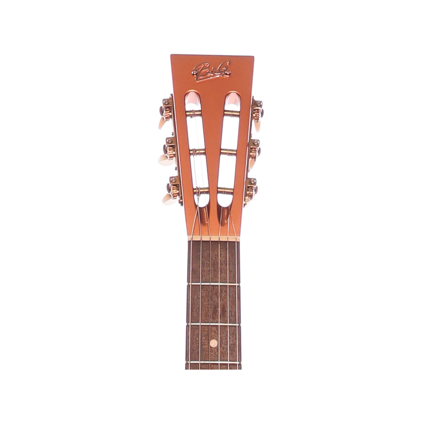 B&G Copper Private Build Art of Guitar