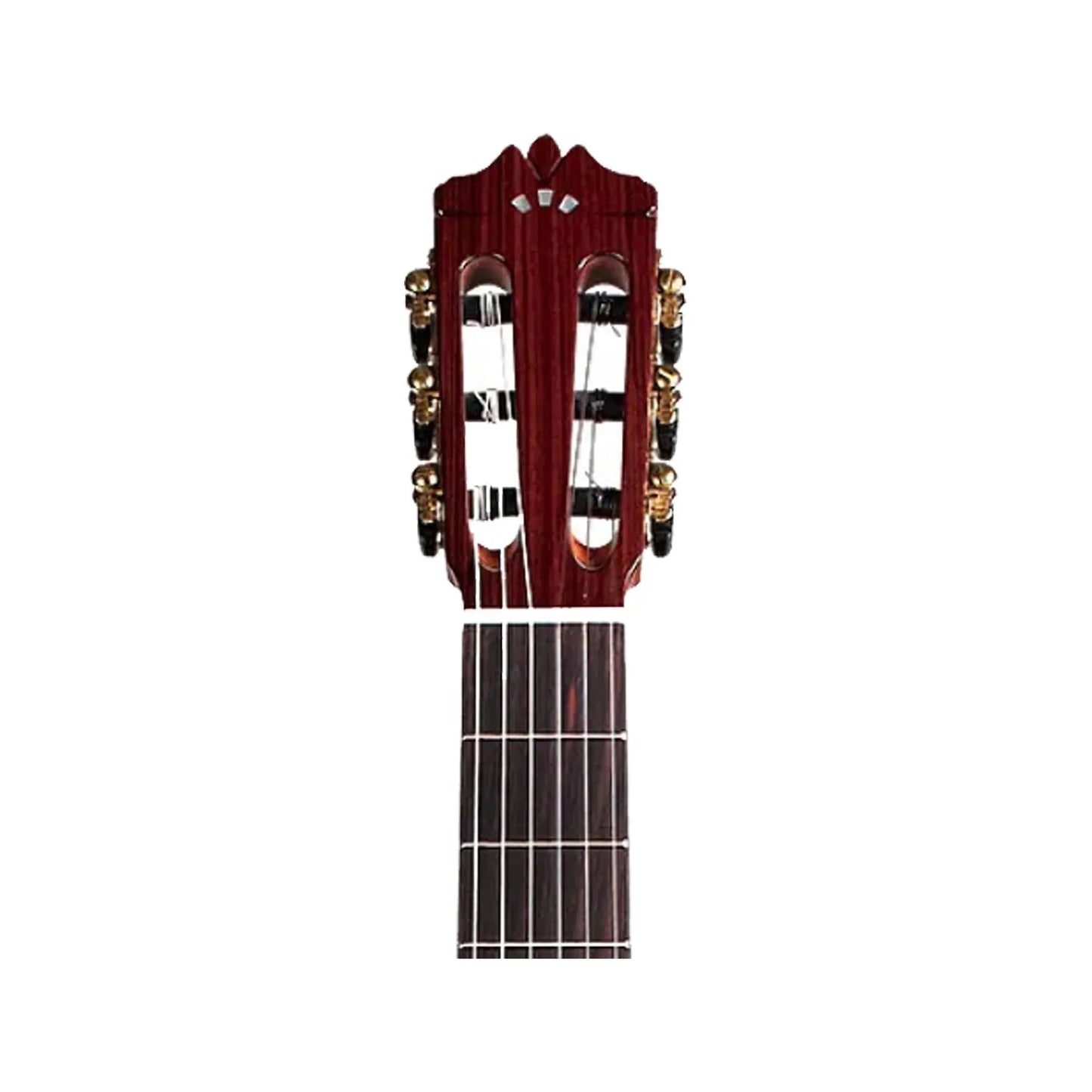 Cordoba C9 CD W/C Classical Guitars Cordoba Art of Guitar