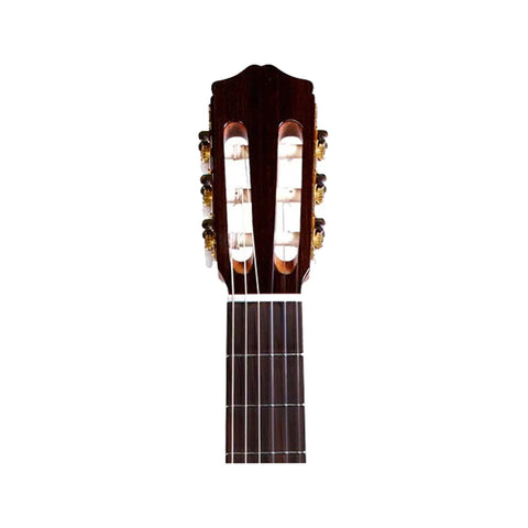 Cordoba C5 SP Acoustic Guitars Cordoba Art of Guitar