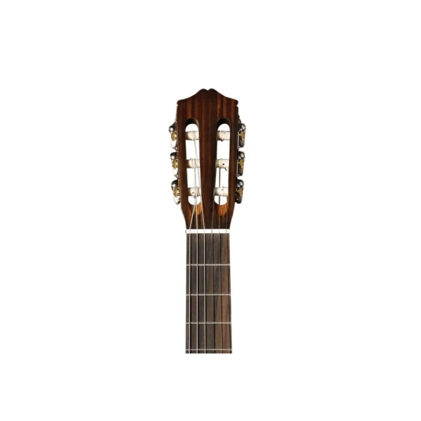 Cordoba CP100 Guitar Pack Acoustic Guitars Cordoba Art of Guitar