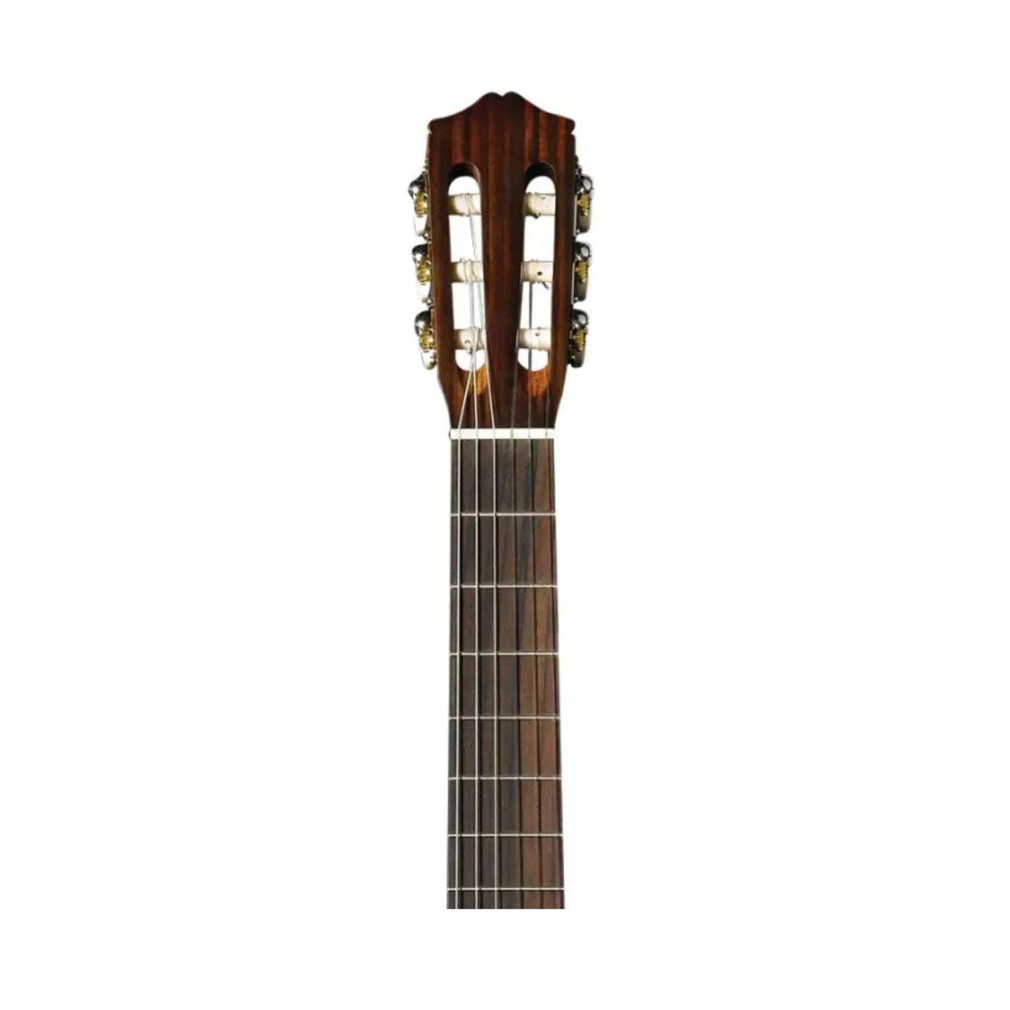 Cordoba CP100 Guitar Pack Classical Guitars Cordoba Art of Guitar