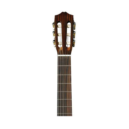 Cordoba CP100 Guitar Pack Classical Guitars Cordoba Art of Guitar