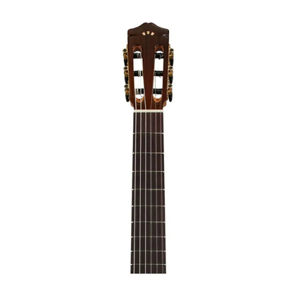 Cordoba F7 Classical Guitar Classical Guitars Cordoba Art of Guitar