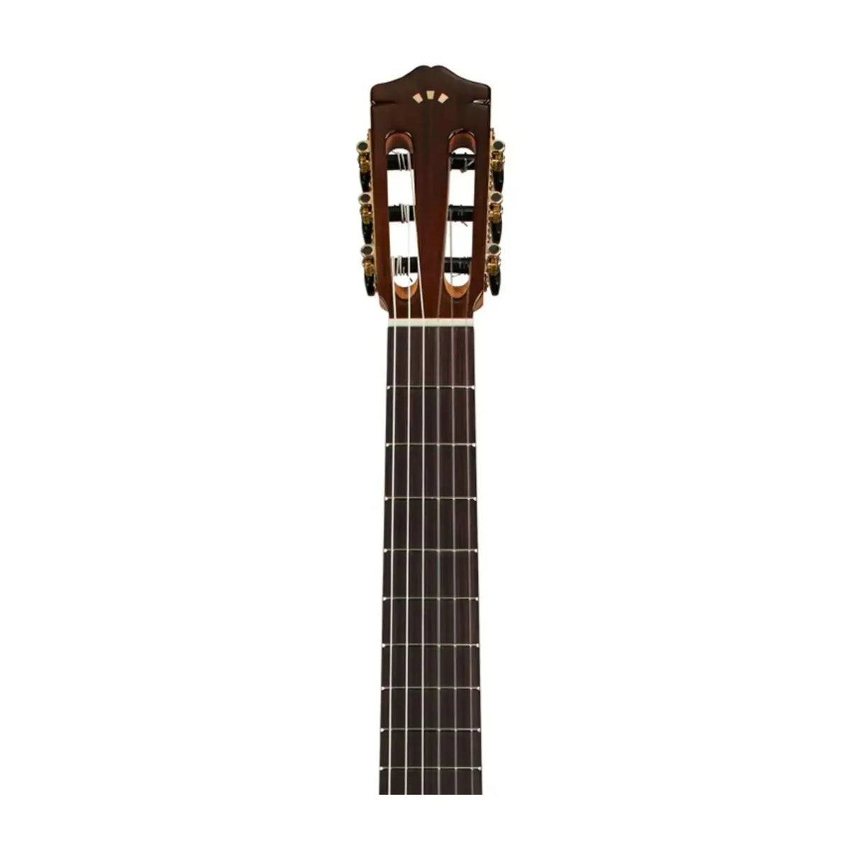 Cordoba F7 Classical Guitar Classical Guitars Cordoba Art of Guitar