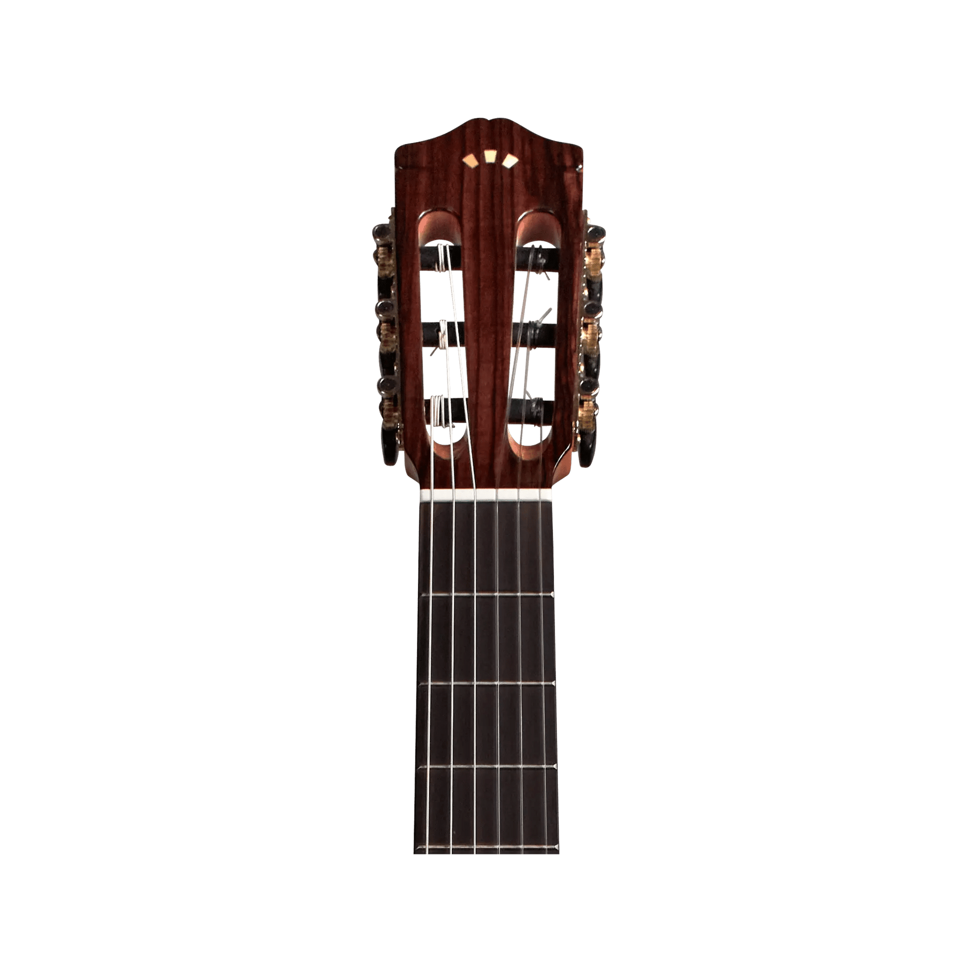 Cordoba Protégé C1M-CE Acoustic Guitars Cordoba Art of Guitar