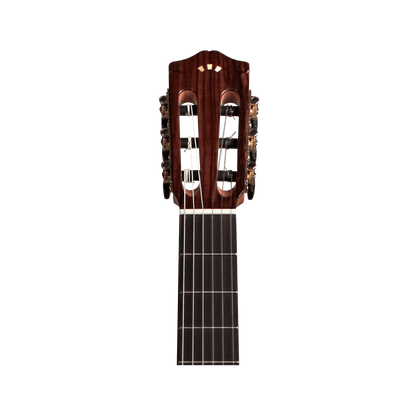 Cordoba Protégé C1M-CE Acoustic Guitars Cordoba Art of Guitar