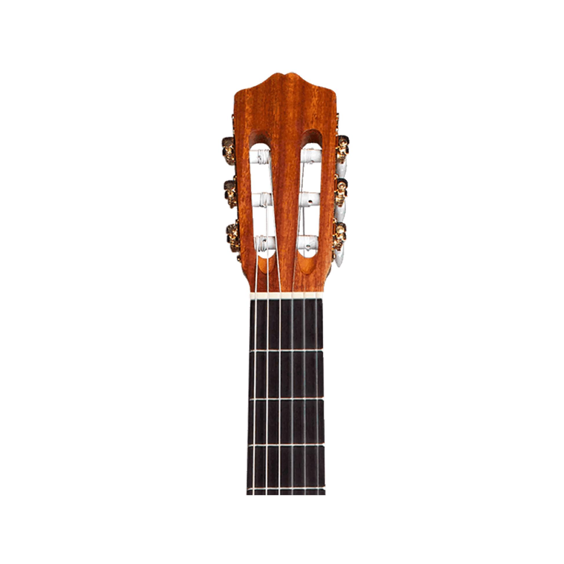 Cordoba Protege C1M Acoustic Guitars Cordoba Art of Guitar