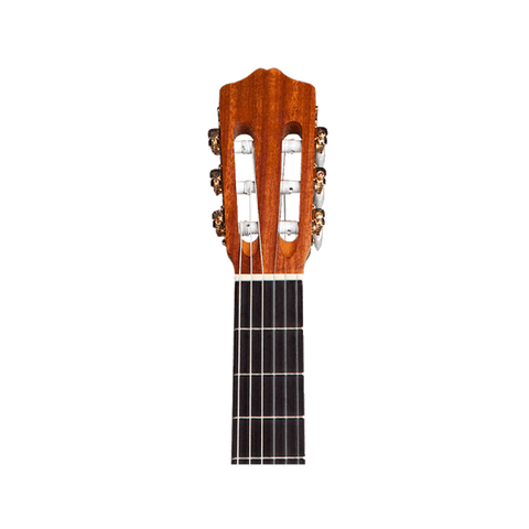 Cordoba Protege C1M Acoustic Guitars Cordoba Art of Guitar