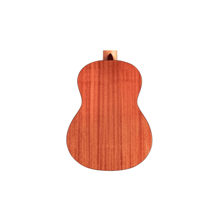 Cordoba Protege C1M Classical Guitars Cordoba Art of Guitar