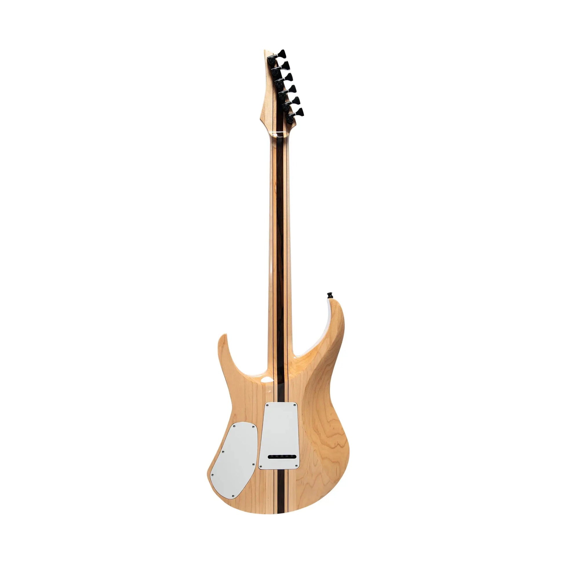 De Leeuw The Racine Series - MS6 ZIRICOTE LIMITED EDITION  (1/5) Electric Guitars De Leeuw Guitars Art of Guitar