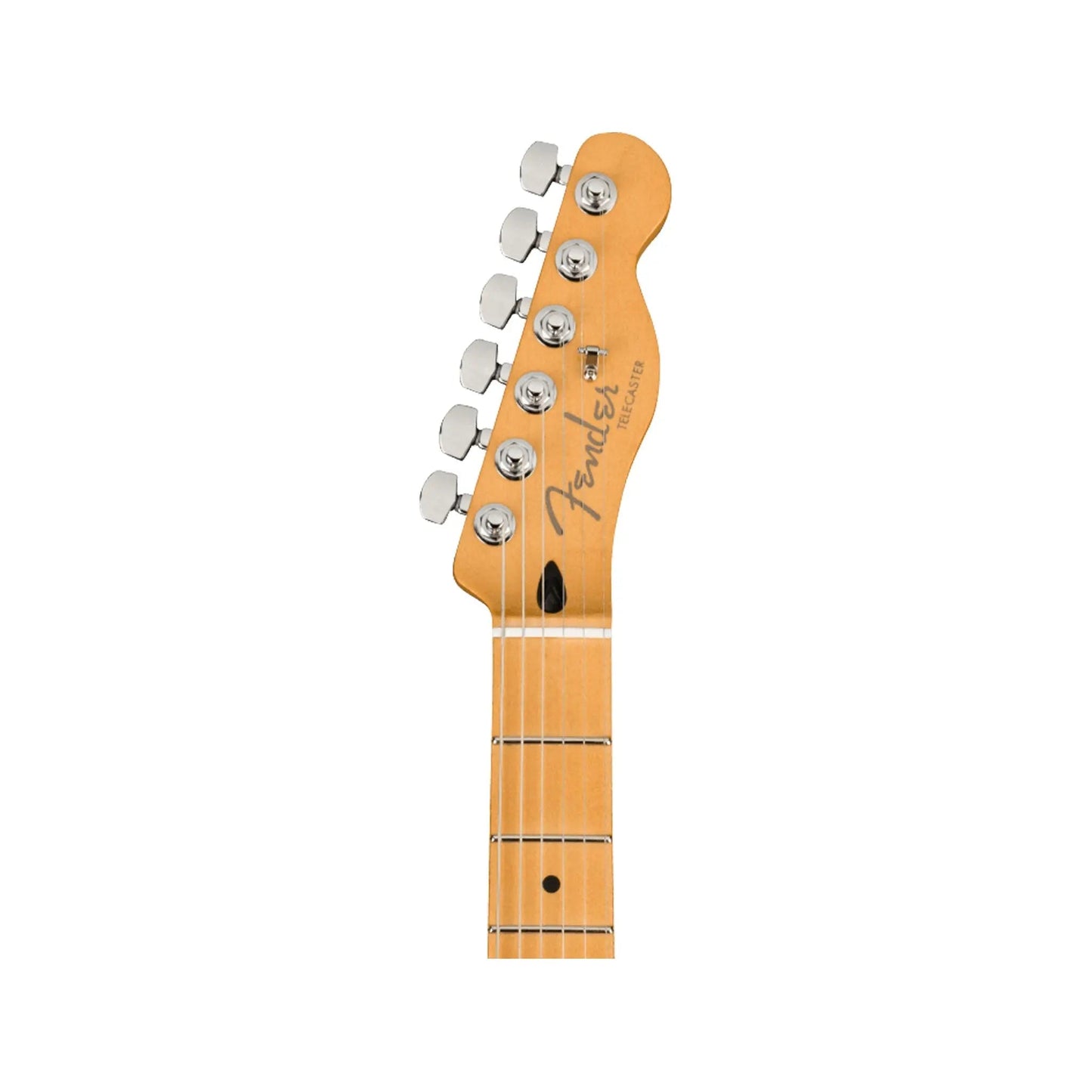 Fender Player Plus Nashville Telecaster Butterscotch Blonde Electric Guitars Fender Art of Guitar