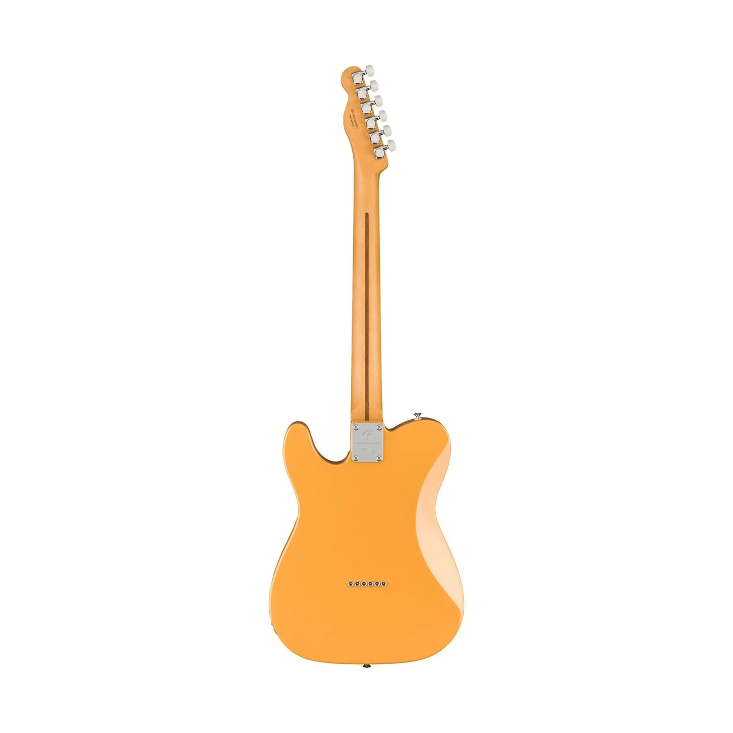Fender Player Plus Nashville Telecaster Butterscotch Blonde Electric Guitars Fender Art of Guitar