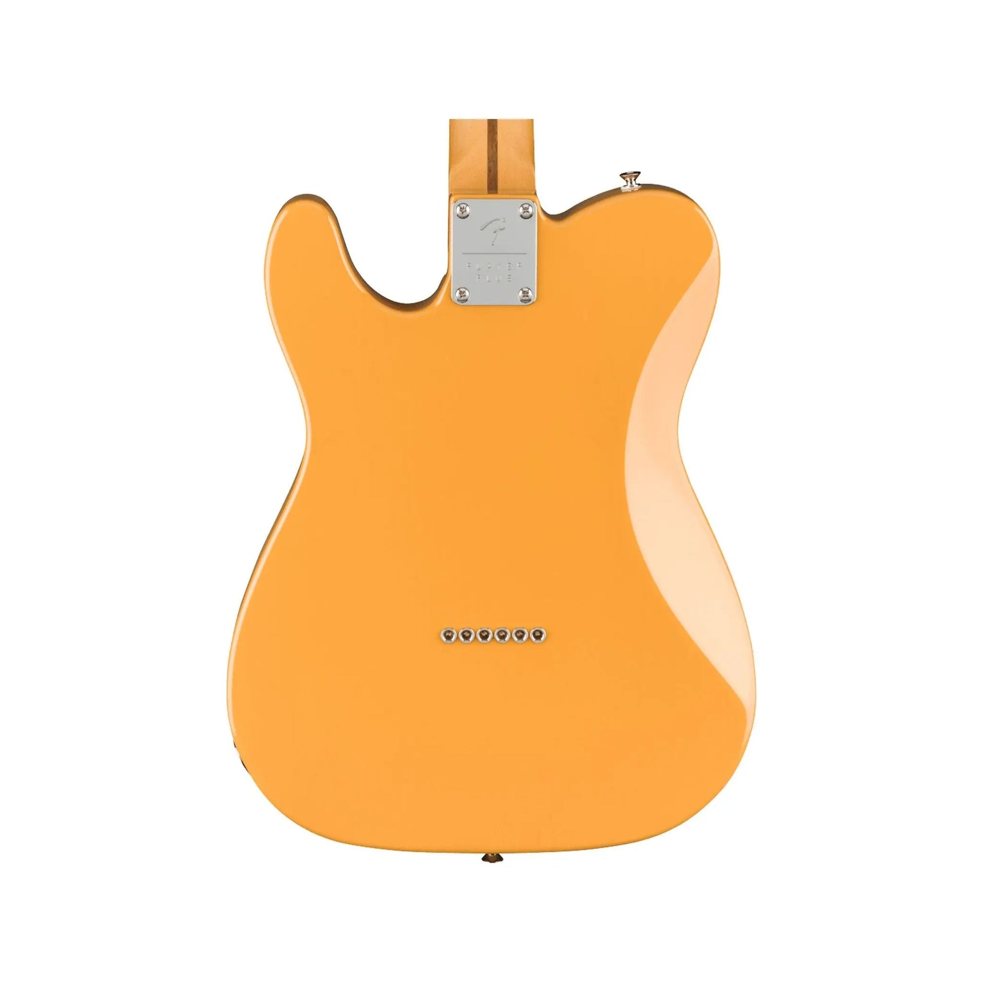 Fender Player Plus Nashville Telecaster Butterscotch Blonde Electric Guitars Fender Art of Guitar