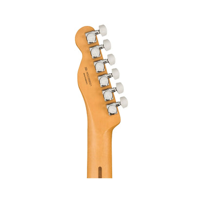 Fender Player Plus Nashville Telecaster Butterscotch Blonde Electric Guitars Fender Art of Guitar