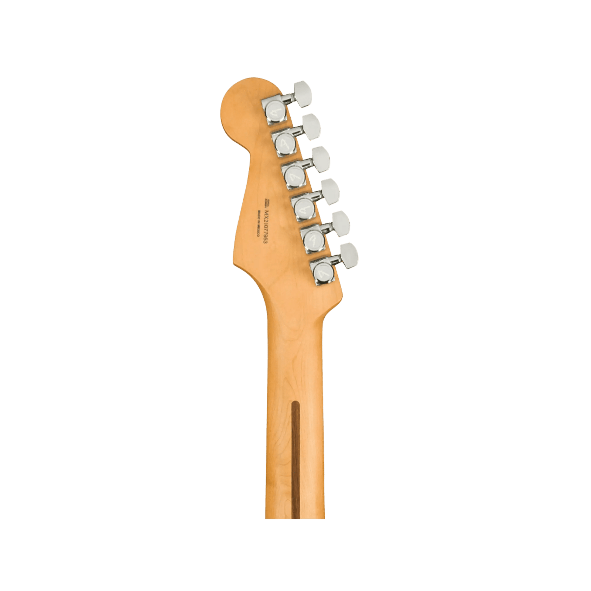 Fender Player Plus Stratocaster HSS Guitars Fender Art of Guitar