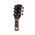 Gibson Les Paul Standard 60s Figured Top - Bourbon Burst Guitars Gibson Art of Guitar