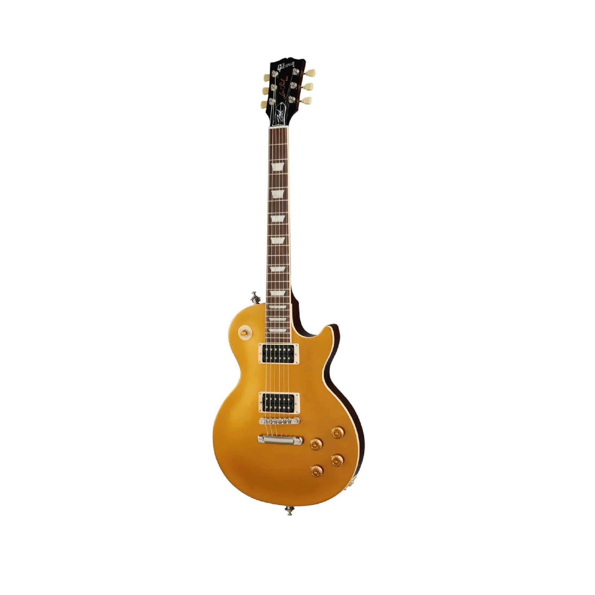 Gibson Slash "Victoria" Les Paul Standard Electric Guitars Gibson Art of Guitar