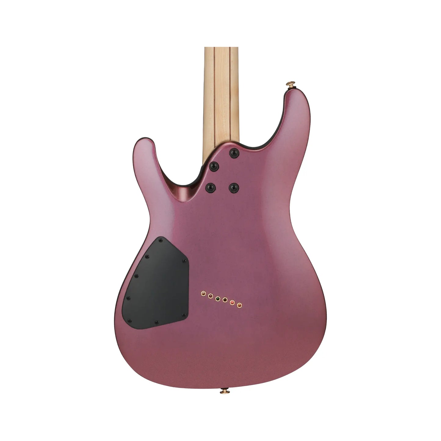 IBANEZ SML721-RGC Electric Guitars Ibanez Art of Guitar