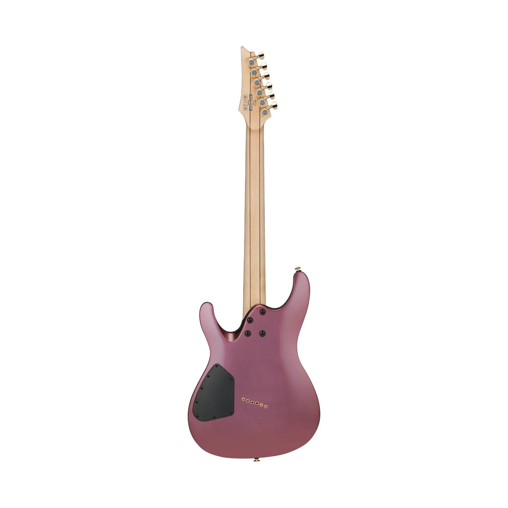 IBANEZ SML721-RGC Electric Guitars Ibanez Art of Guitar
