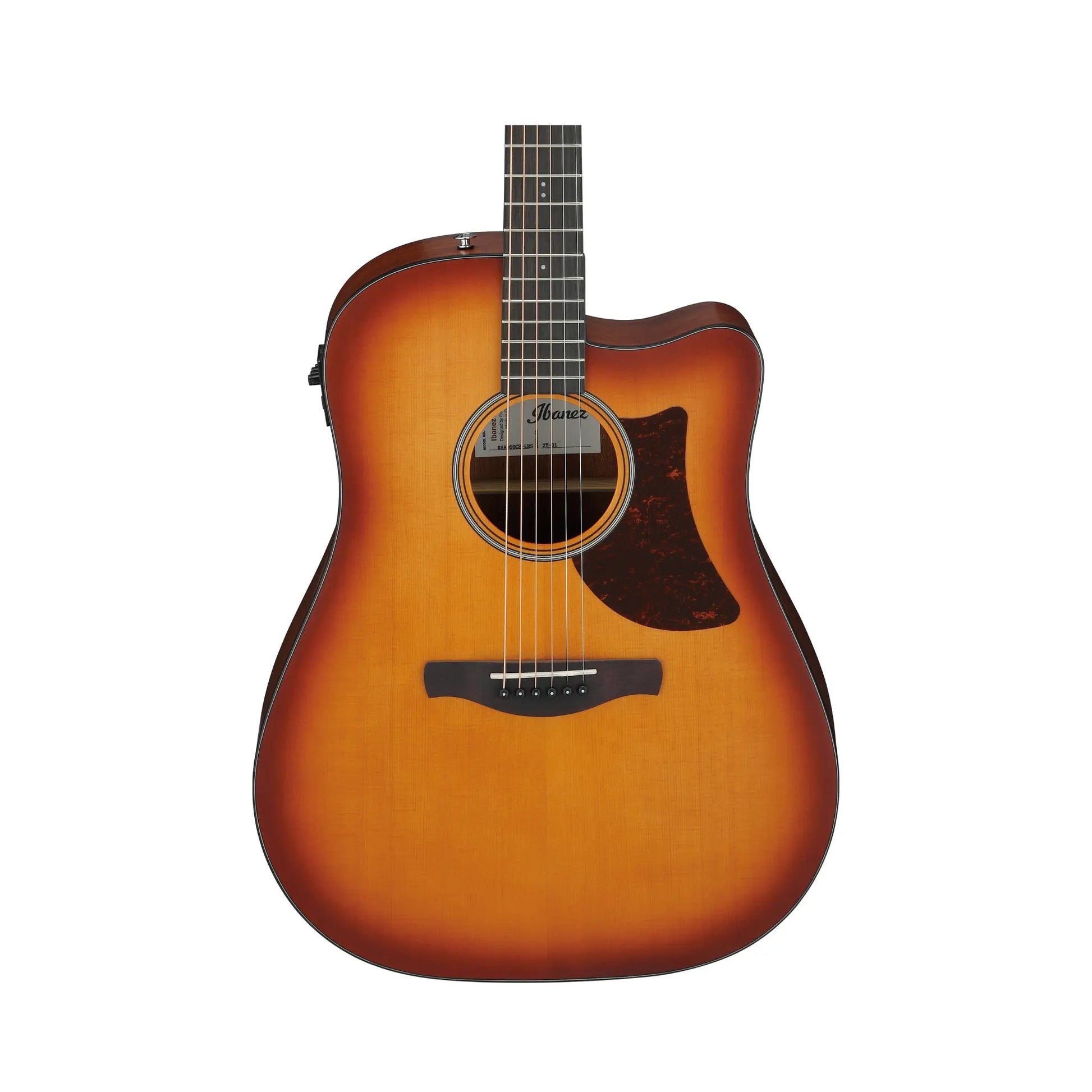 Ibanez AAD50CE-LBS  Art of Guitar Art of Guitar