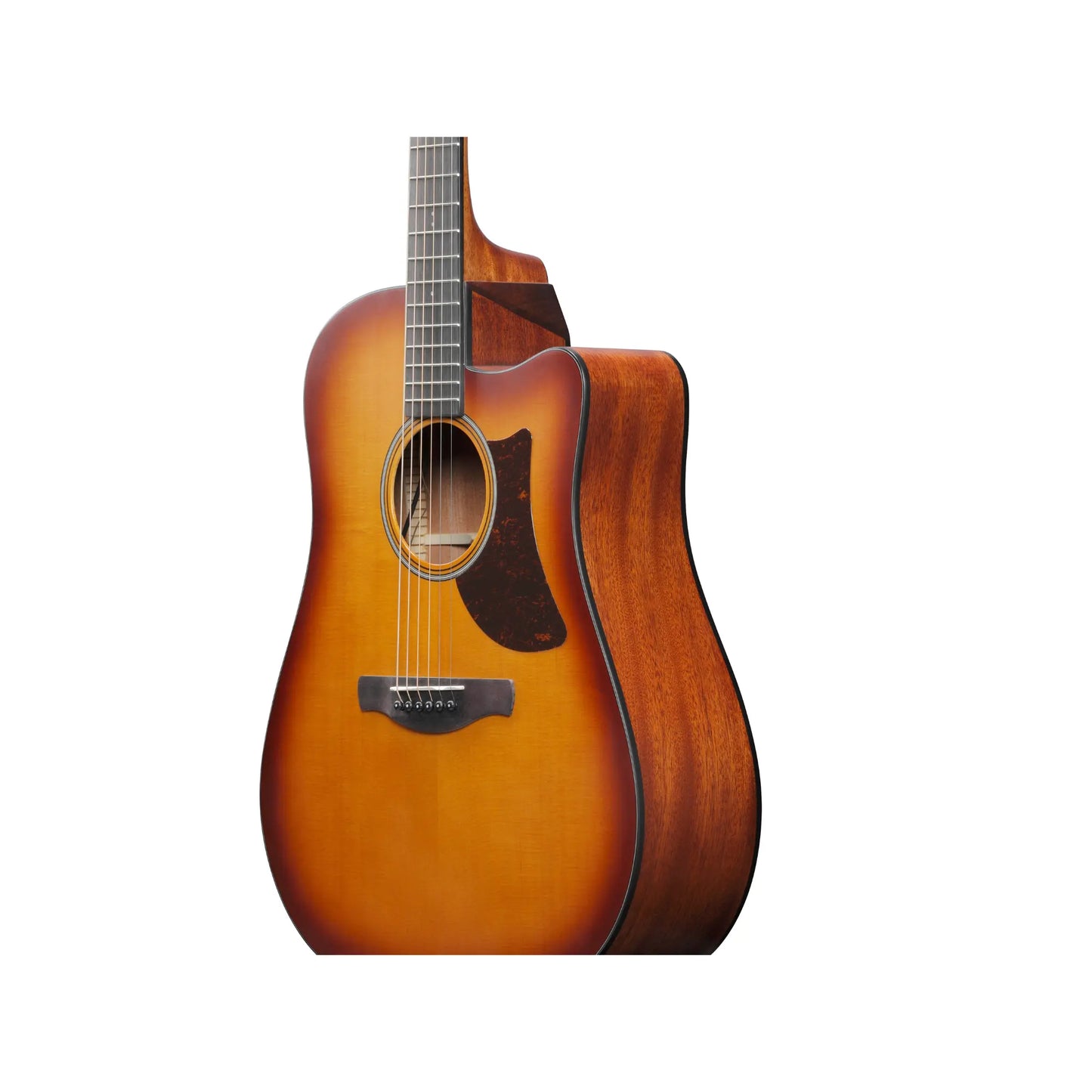 Ibanez AAD50CE-LBS  Art of Guitar Art of Guitar
