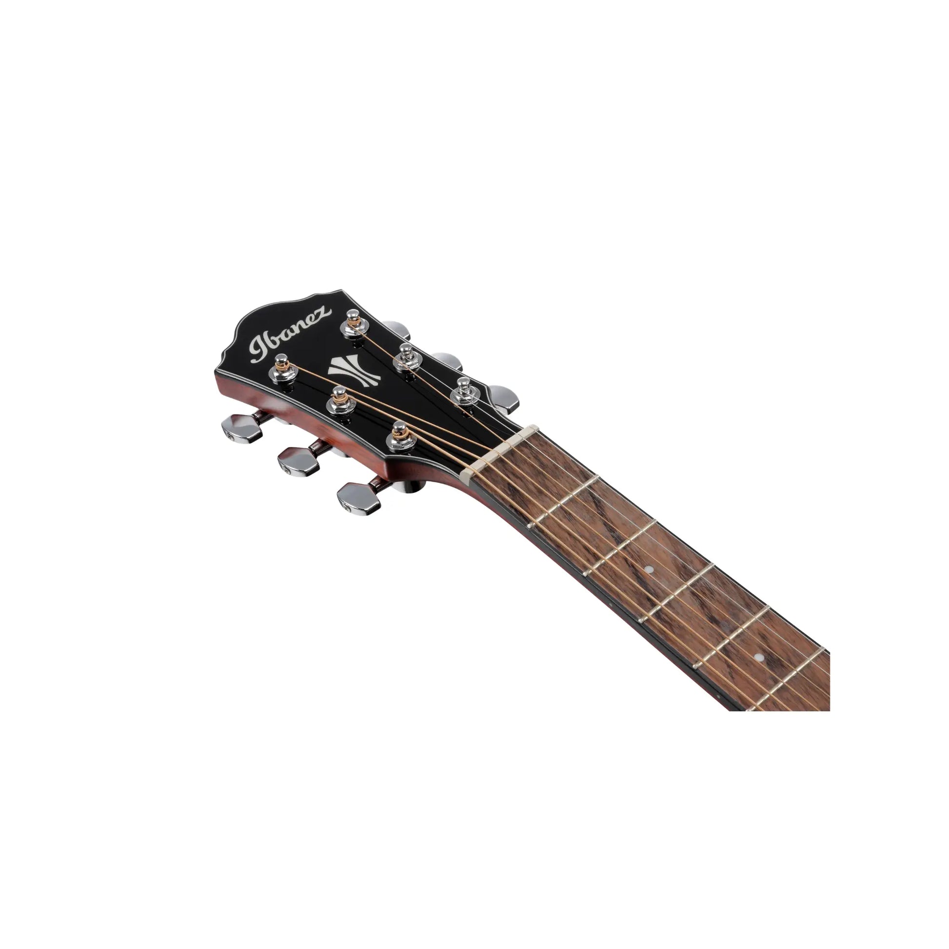 Ibanez AEG50-DHH Acoustic Guitars Ibanez Art of Guitar