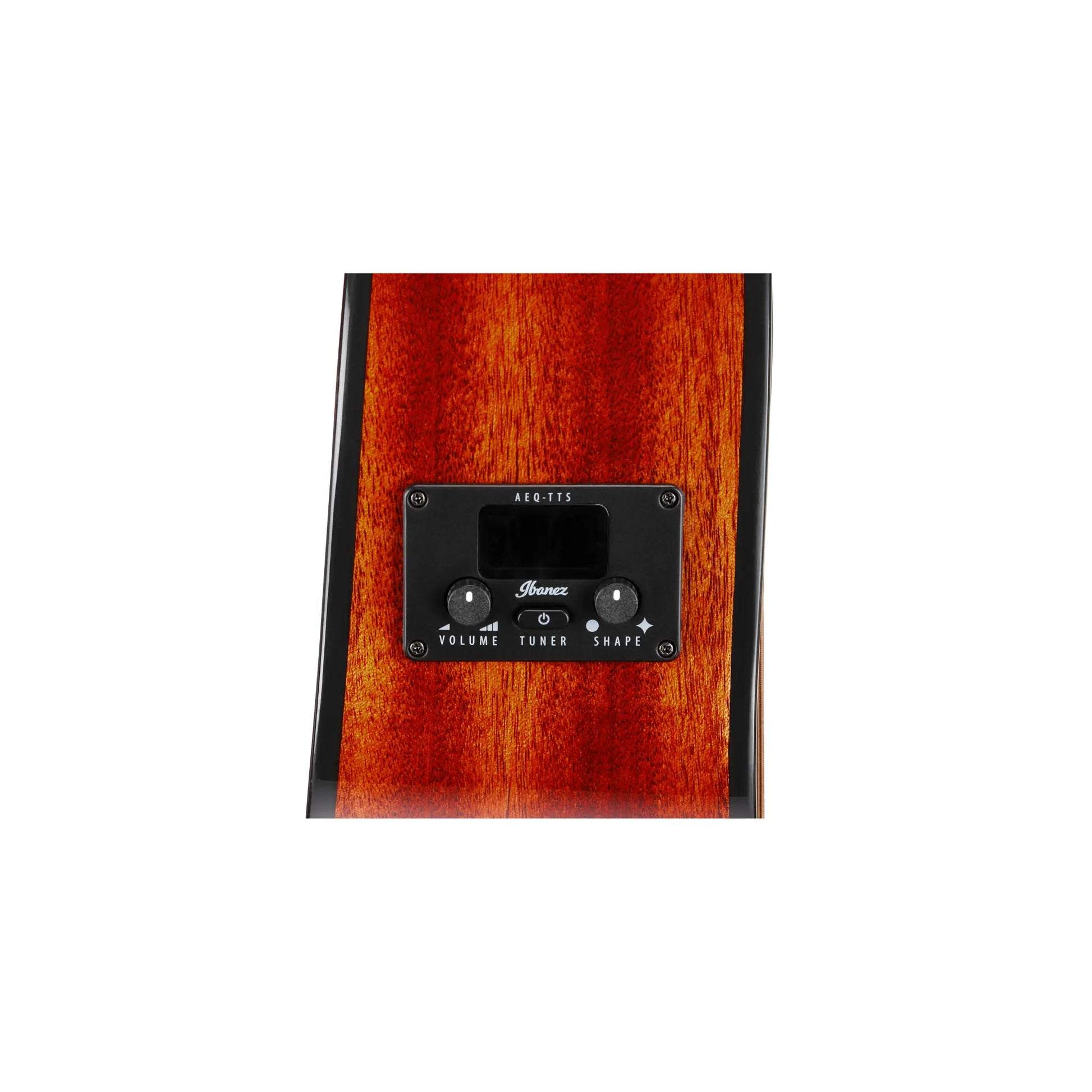 Ibanez AEG50-DHH Acoustic Guitars Ibanez Art of Guitar